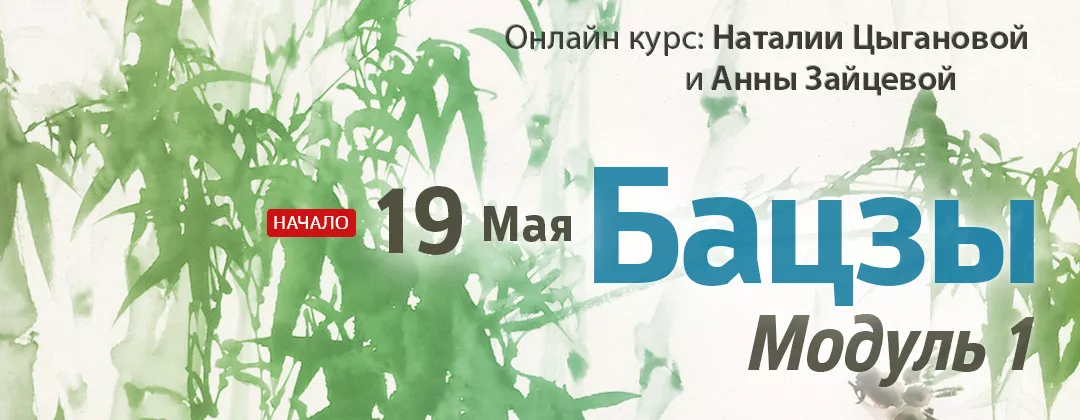 Бацзы онлайн: путь к удаче, Модуль 1