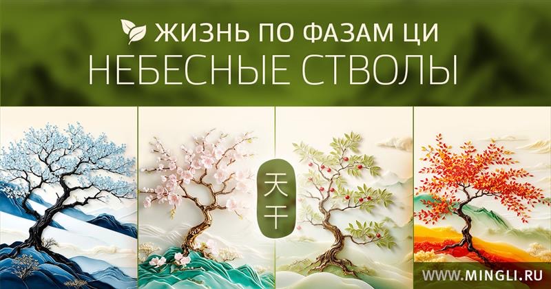 Жизнь по фазам Ци. Небесные стволы.. .<br />Преподаватель: <strong>Елена Фролова</strong>